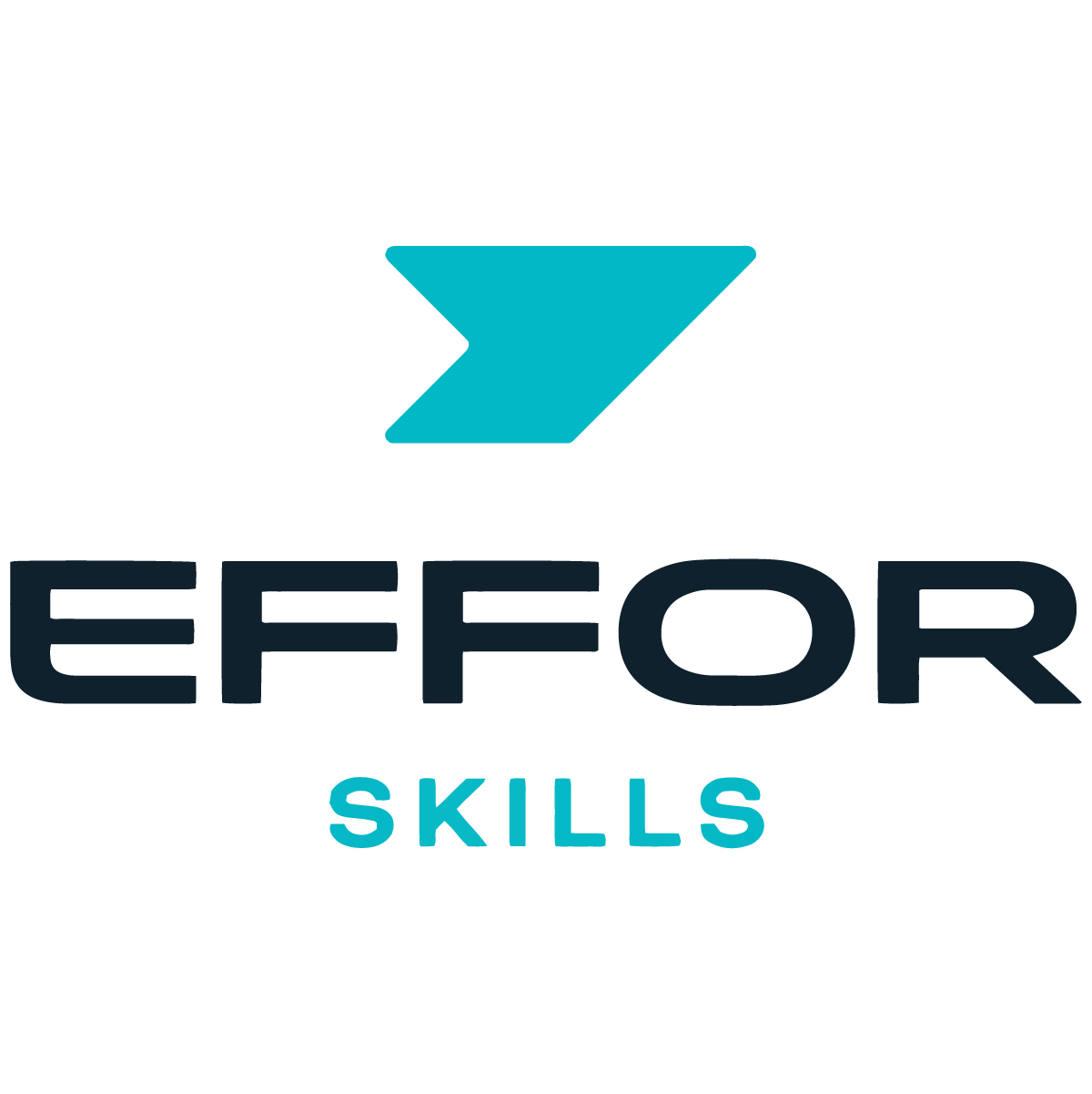 Orientation Insertion Professionnelle Près De Nancy Ef For Skills